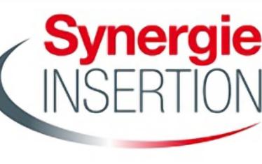 synergie insertion